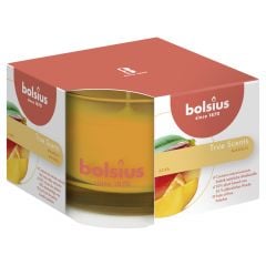 Scented Candle in a glass 63/90 mm 24h MANGO