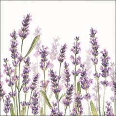 Napkin 33 Lavender Shades White FSC Mix